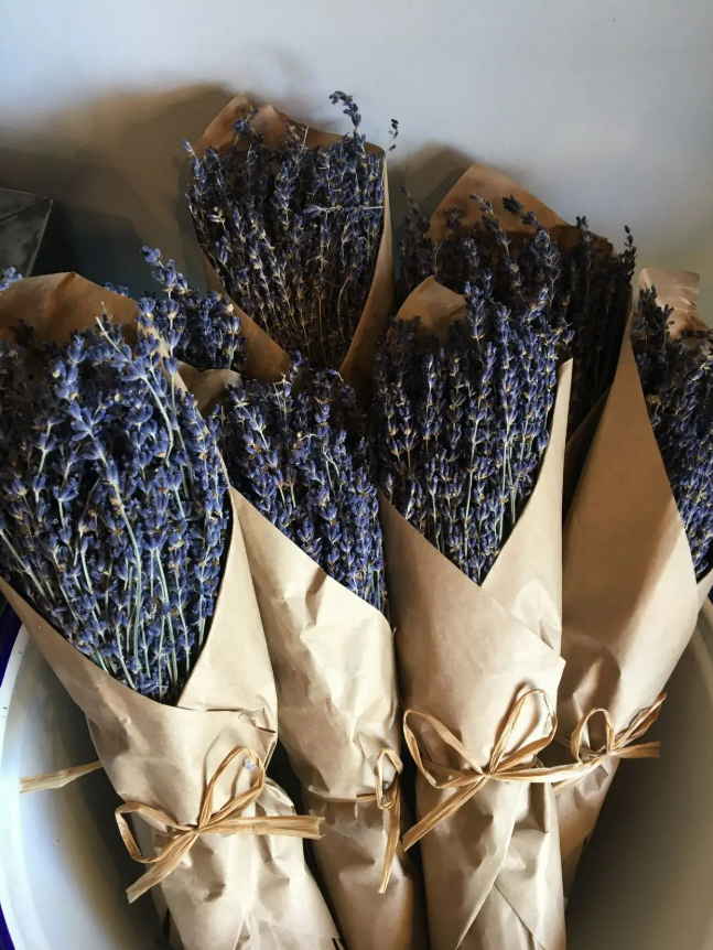 French Organic Lavender Bundle