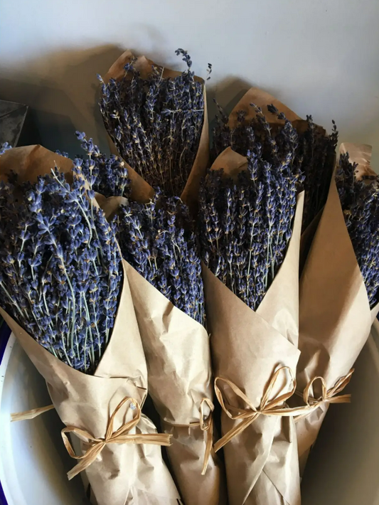 French Organic Lavender Bundle